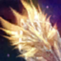 Items
